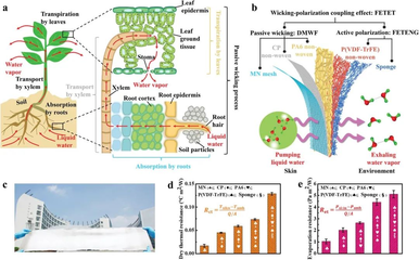 AFMG 高性能纖維及復(fù)合材料制造 引領(lǐng)材料科技的未來(lái)